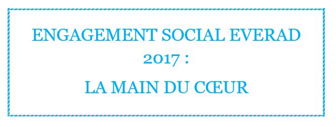 2017 Everad Social commitment