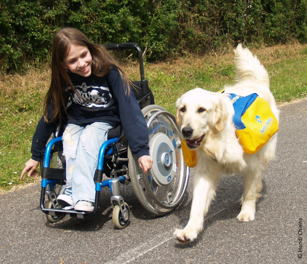 Engagement social Everad 2019 : Everad et Handi’chiens