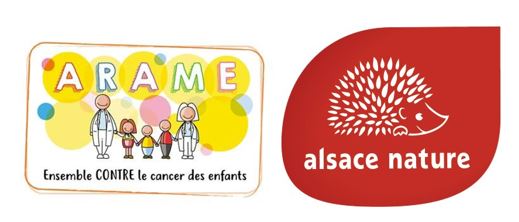 Engagement social Everad 2024 : Aider les enfants et la nature !